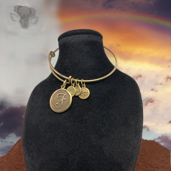 Alex and Ani Brass Bangle Fashion Bracelet - Picture 5 of 5